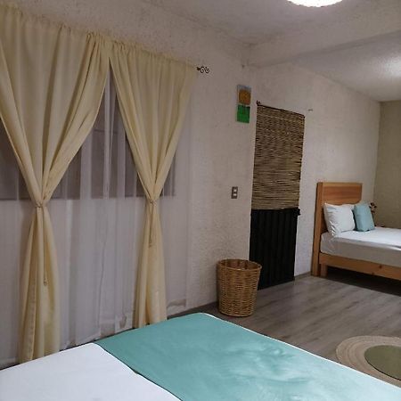 Alojamiento El Nixtamal Oaxaca Bagian luar foto